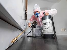 Best Fumigation Services  in Mission Nyon, CA